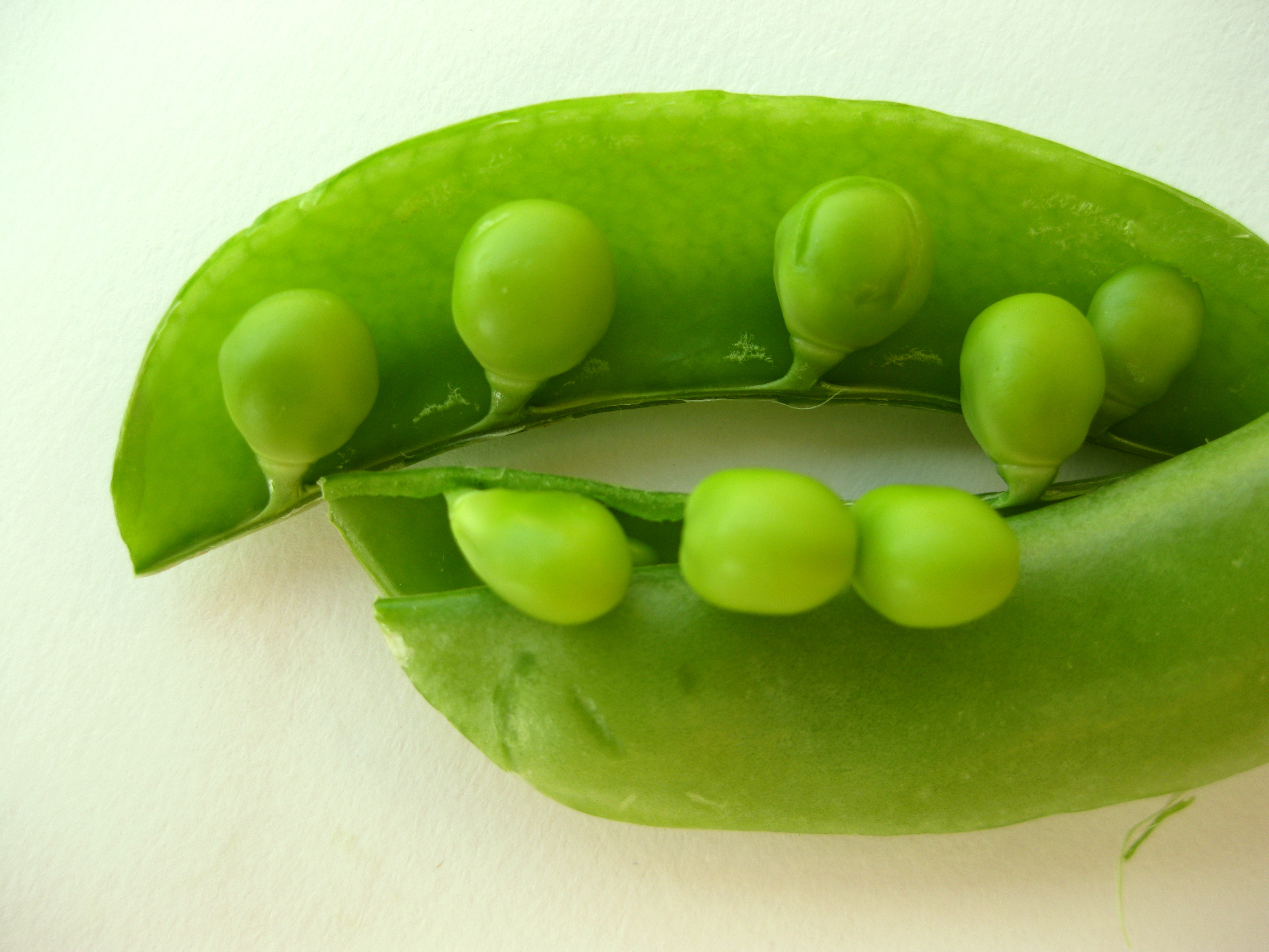 vegetable11